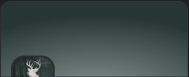 Discovery splash banner for The Wilderness 2.0 Discord server