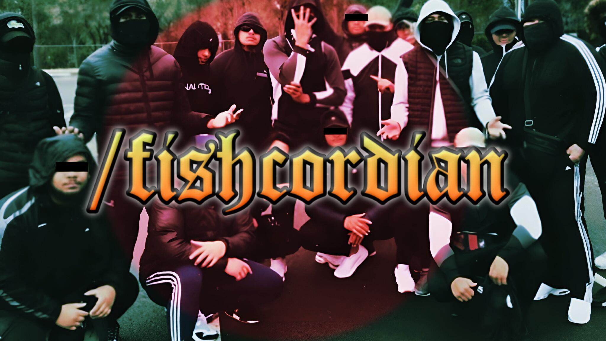 Discovery splash banner for /fishcordian #bengal Discord server