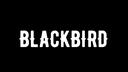 Discovery splash banner for BLACKBIRD RP Discord server