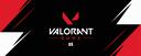 Discovery splash banner for VALORANT DUOS Discord server