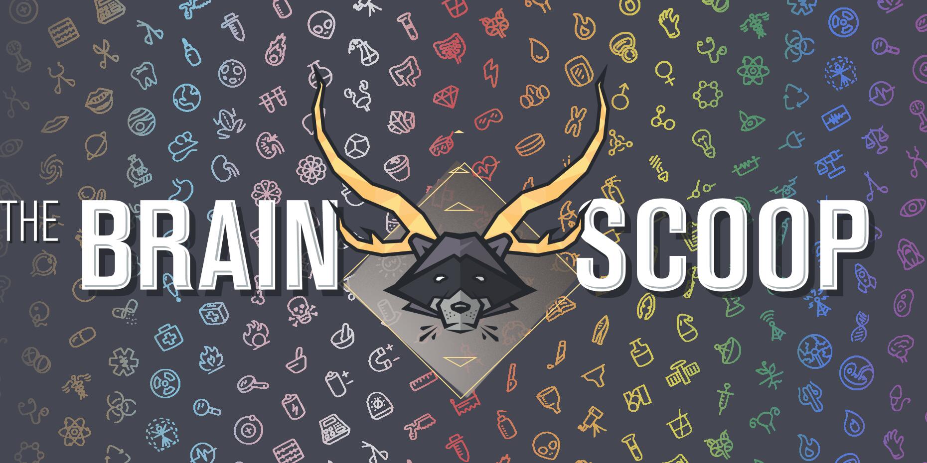 Discovery splash banner for The Brain Scoop Discord server