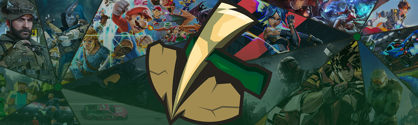 Discovery splash banner for Niner Esports Discord server