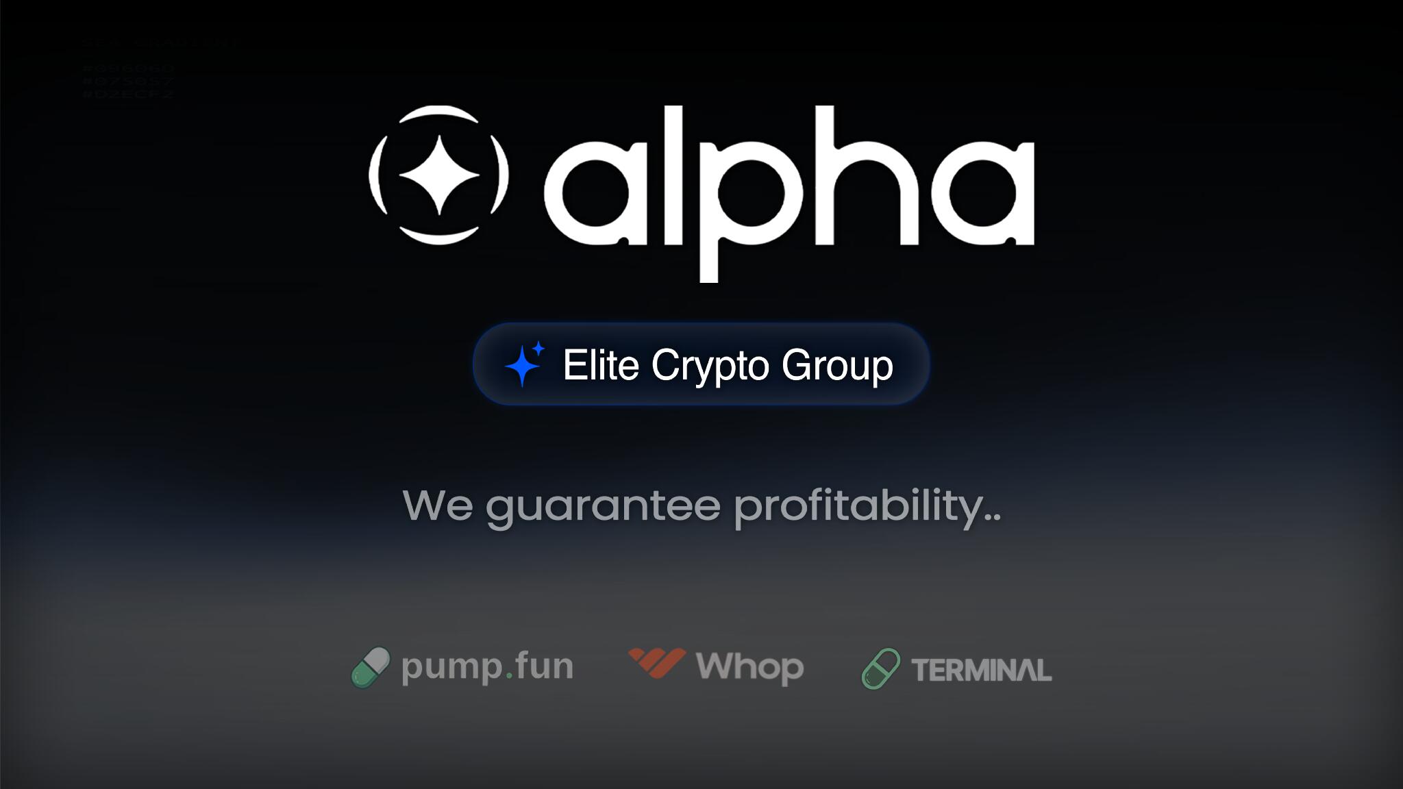 Discovery splash banner for The Alpha Club Discord server