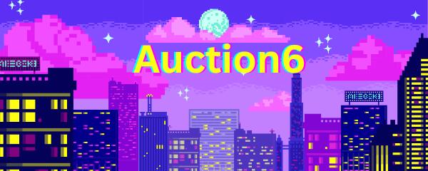 Discovery splash banner for Auction6 Discord server