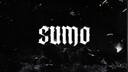 Discovery splash banner for Official Sumo Community Discord server