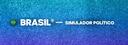 Discovery splash banner for BRASIL® — Simulador Político Discord server