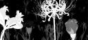 Discovery splash banner for /1uminous ⟡ social ⋆ events (15+) Discord server