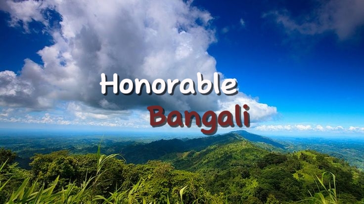 Discovery splash banner for BANGALI Discord server