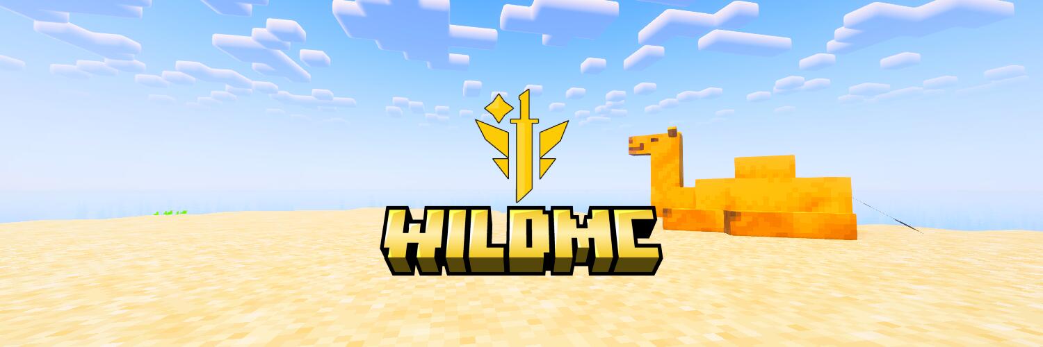 Discovery splash banner for WildMC - Network Discord server