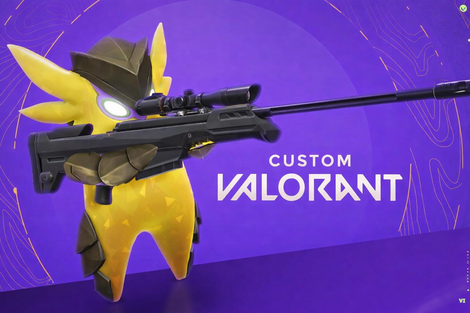 Discovery splash banner for Custom VALORANT Discord server