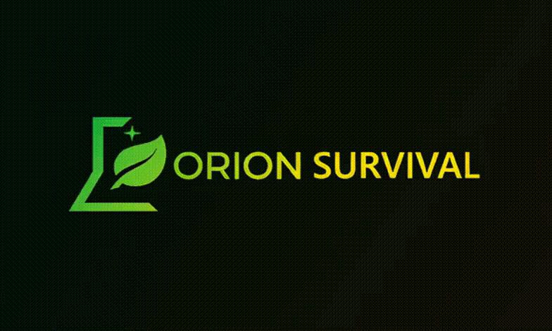 Discovery splash banner for Orion Survival Discord server