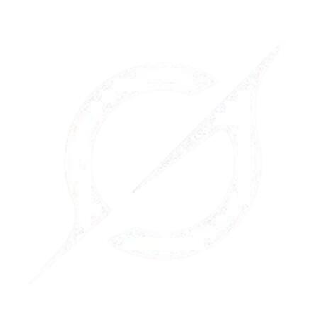 Discovery splash banner for ZenLLM Discord server
