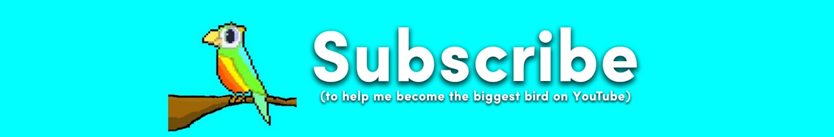 Discovery splash banner for Parrot Discord server