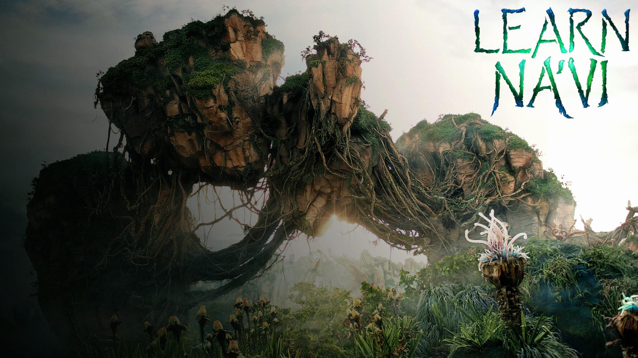 Discovery splash banner for LearnNavi.org Community Discord server