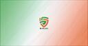 Discovery splash banner for RL Ireland Discord server