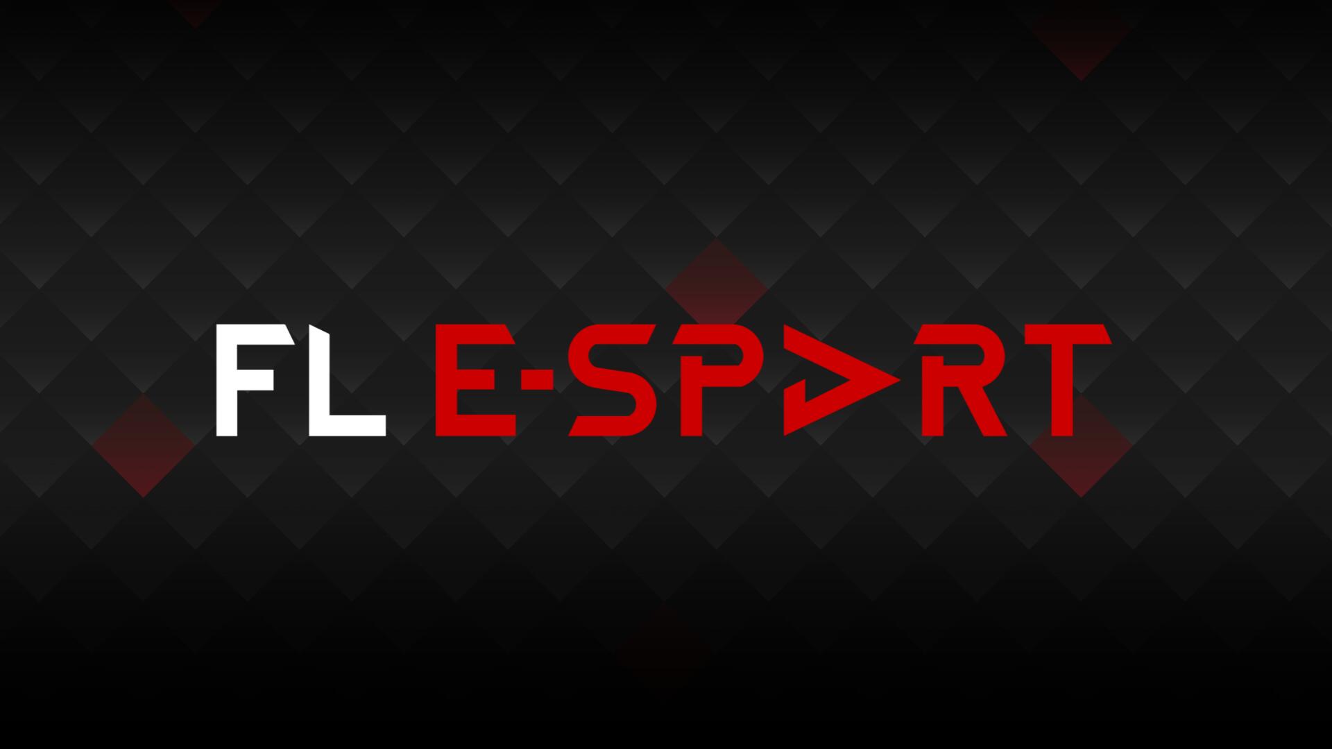 Discovery splash banner for FL E-sport Discord server