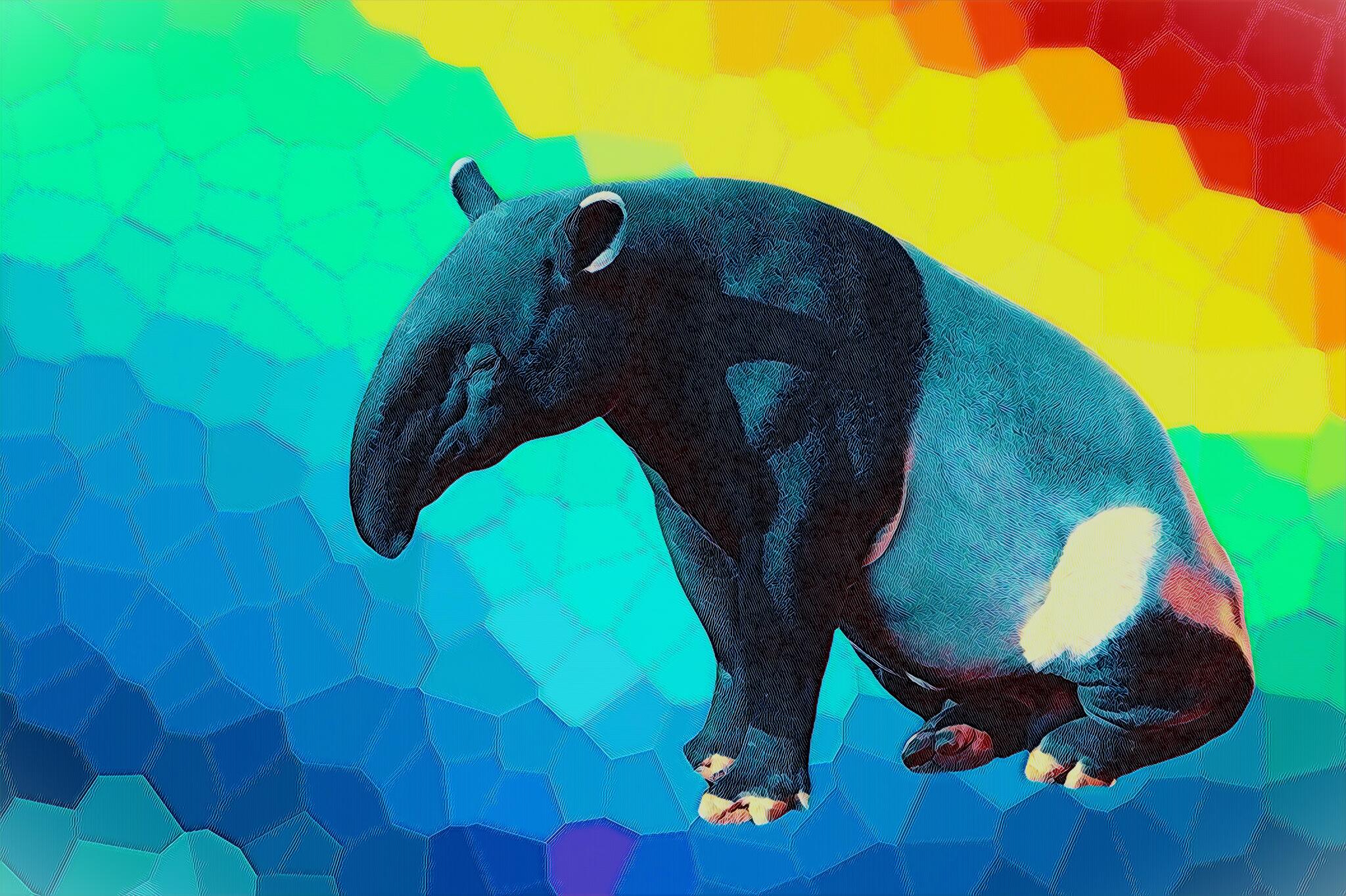 Discovery splash banner for /r/Exmormon Official Discord server