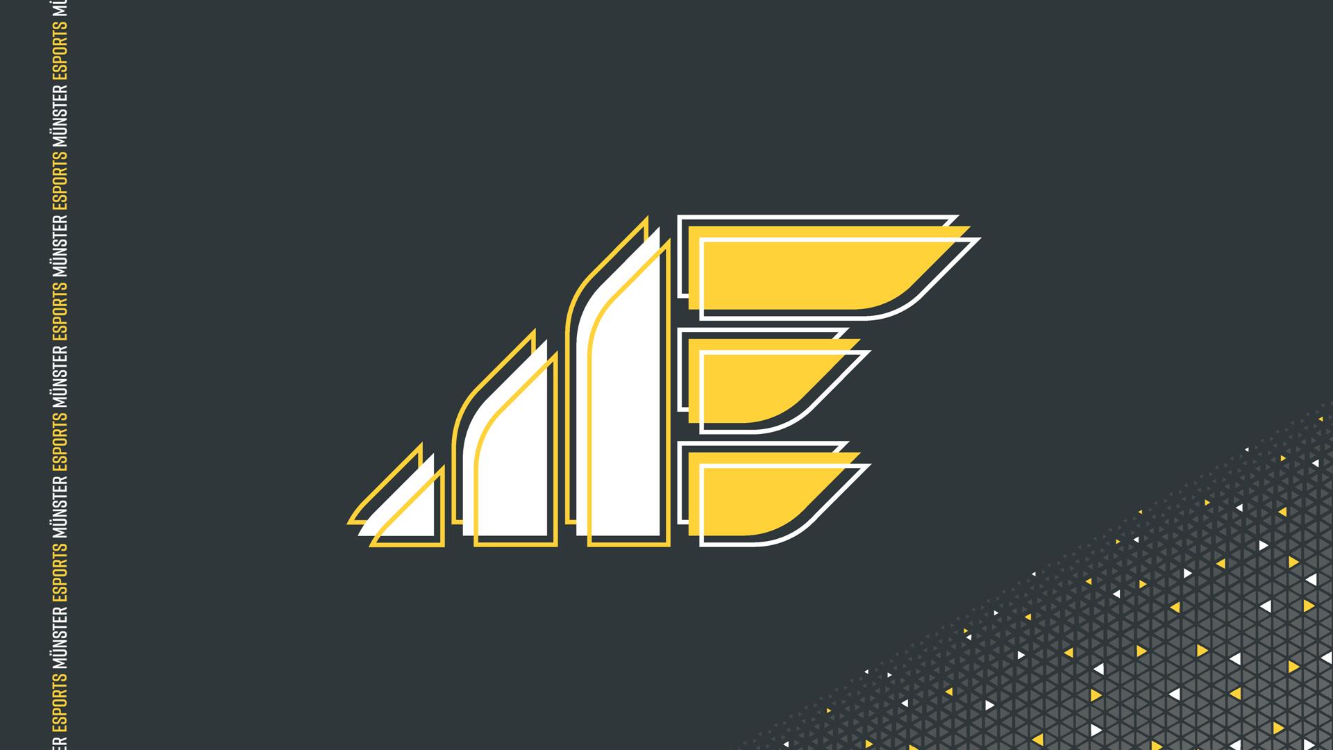 Discovery splash banner for Münster Esports e.V. Discord server