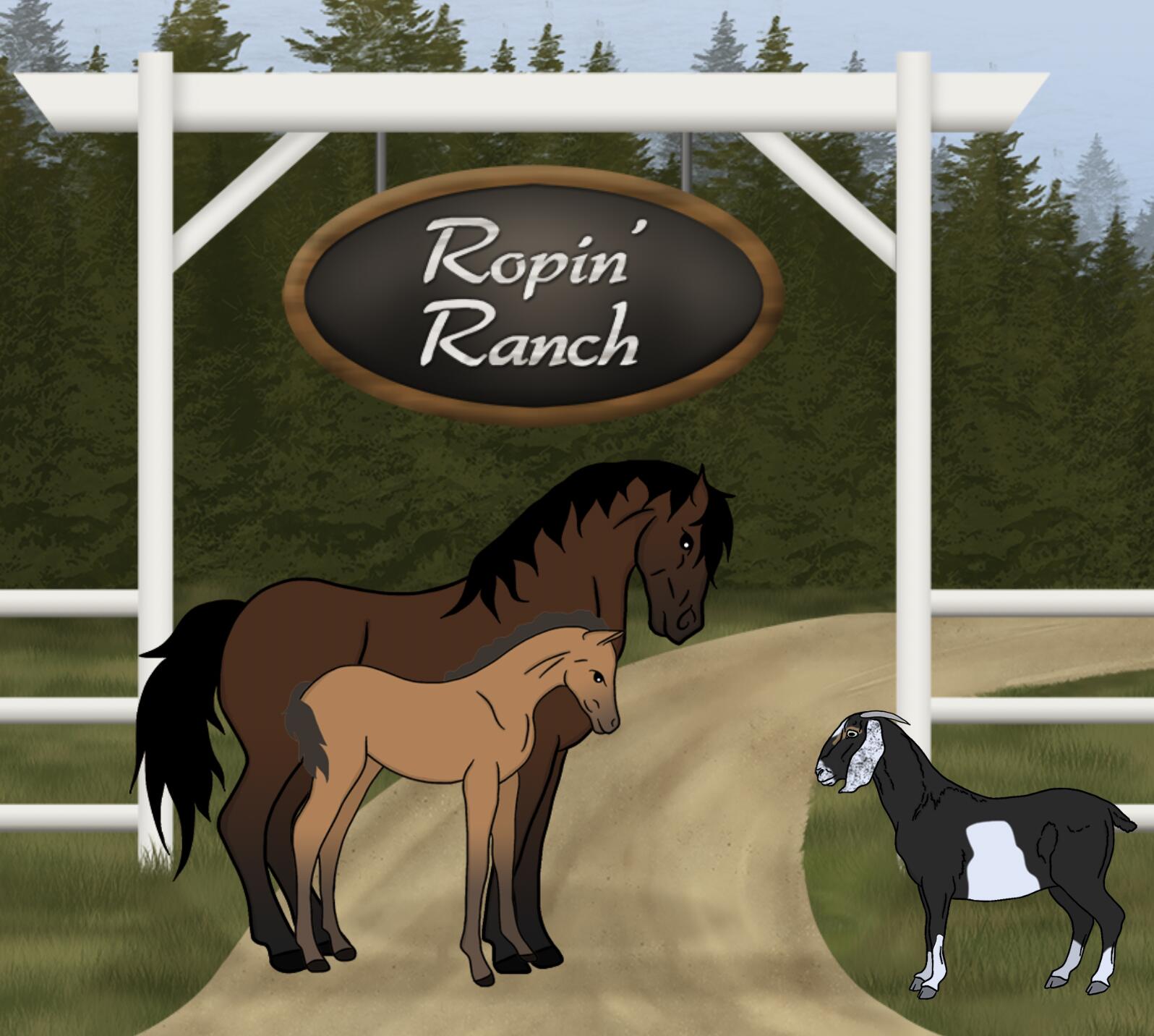 Discovery splash banner for Ropin' Ranch Discord server