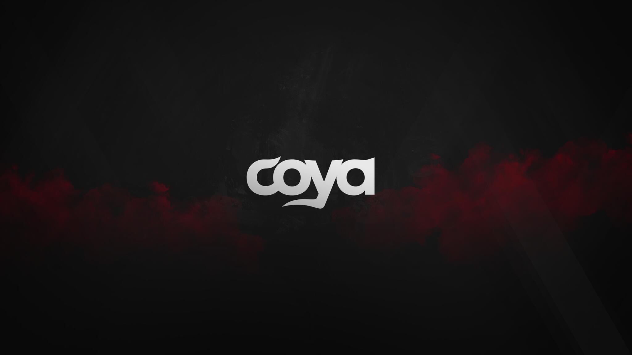 Discovery splash banner for Coya Discord server