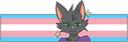Discovery splash banner for Shaiko's BTD5 Modding Server Discord server