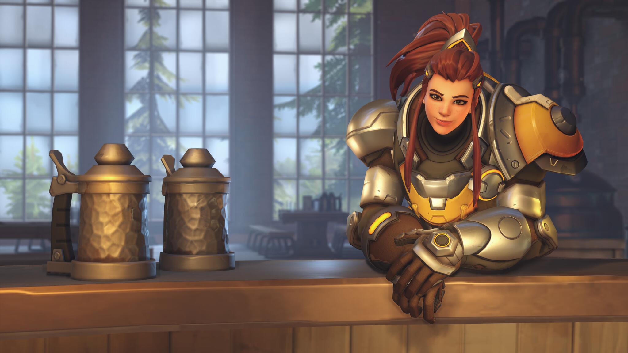 Discovery splash banner for Brigitte Mains Discord server