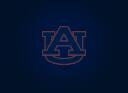 Discovery splash banner for Auburn Tigers Discord server