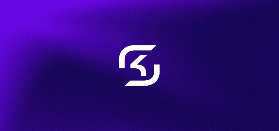 Discovery splash banner for SK Gaming Discord server