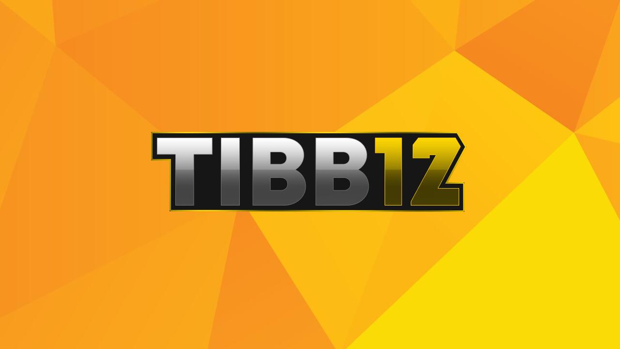 Discovery splash banner for Tibb12 Discord server