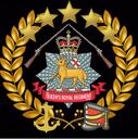 Discovery splash banner for Queen's Royal Regiment Discord server
