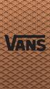 Discovery splash banner for VANS Discord server