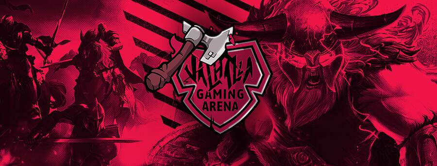 Discovery splash banner for Valhalla Gaming Arena Discord server