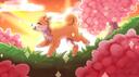 Discovery splash banner for Shiba ♡ サーバー Social & Anime Discord server