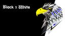 Discovery splash banner for 𝕭lack 𝖝 𝖂hite | .gg/bxw Discord server