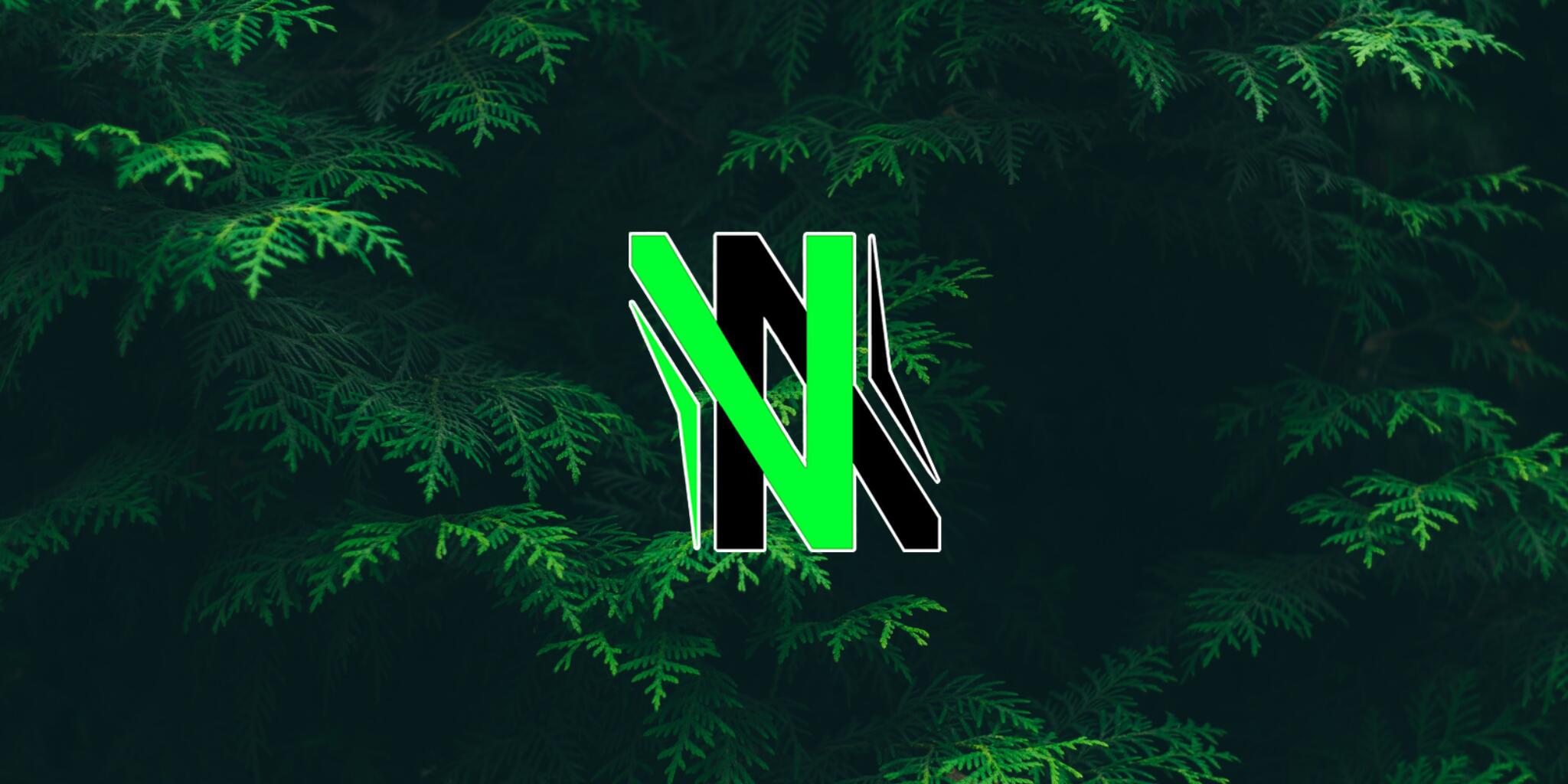 Discovery splash banner for NoNick Store Discord server