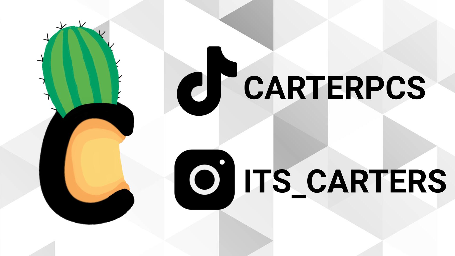 Discovery splash banner for Carter's Cacti Discord server
