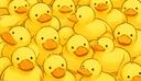 Discovery splash banner for Patitos de Caro Discord server