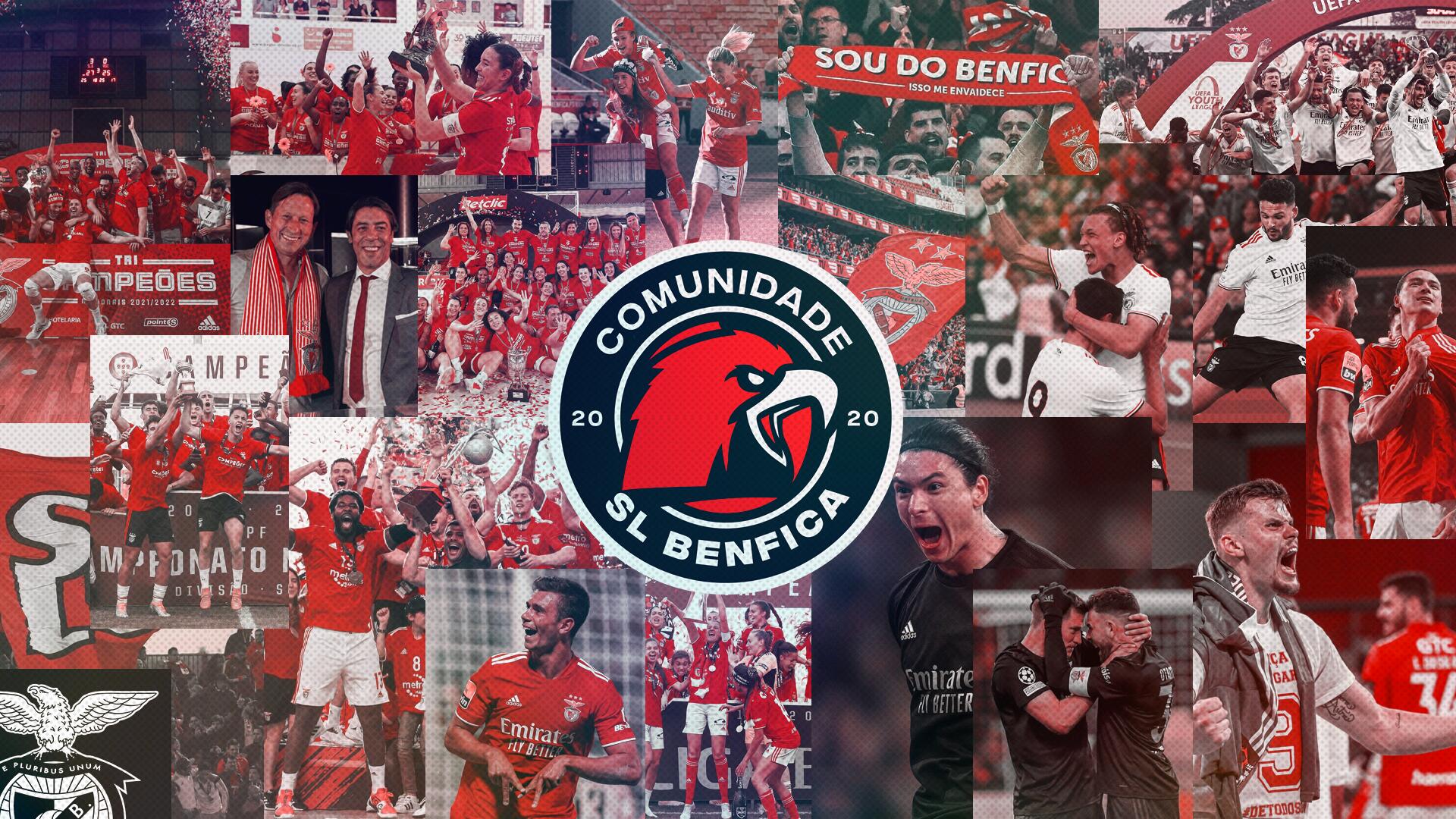 Discovery splash banner for SL Benfica | Comunidade Discord server