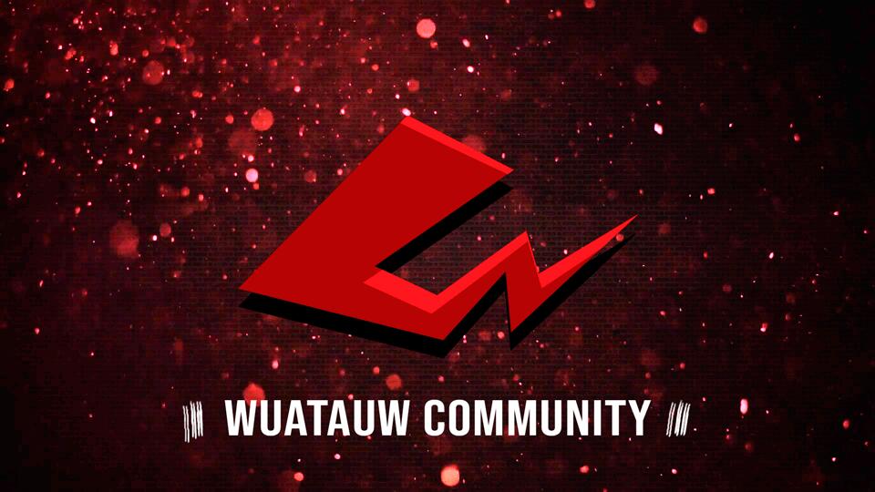 Discovery splash banner for Wuatauw Discord server
