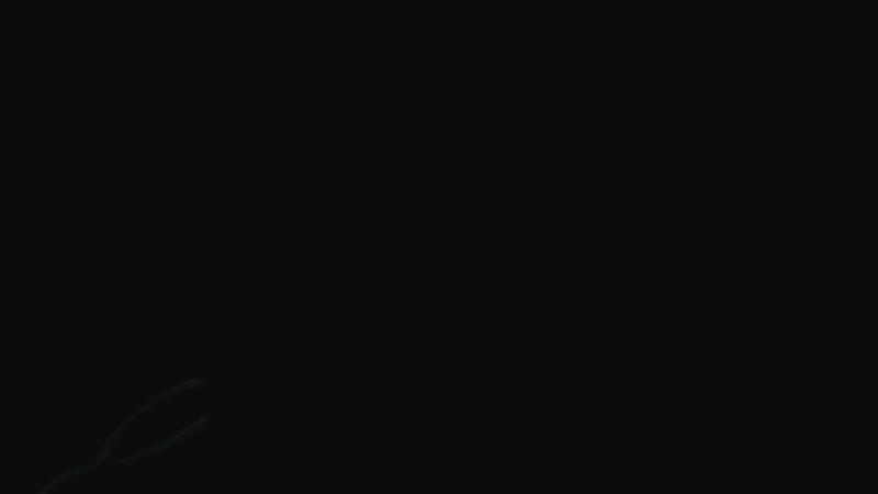 Discovery splash banner for ๐๐. ๐๐๐๐๐๐๐๐ ๐
๐๐๐, ๐๐๐. Discord server