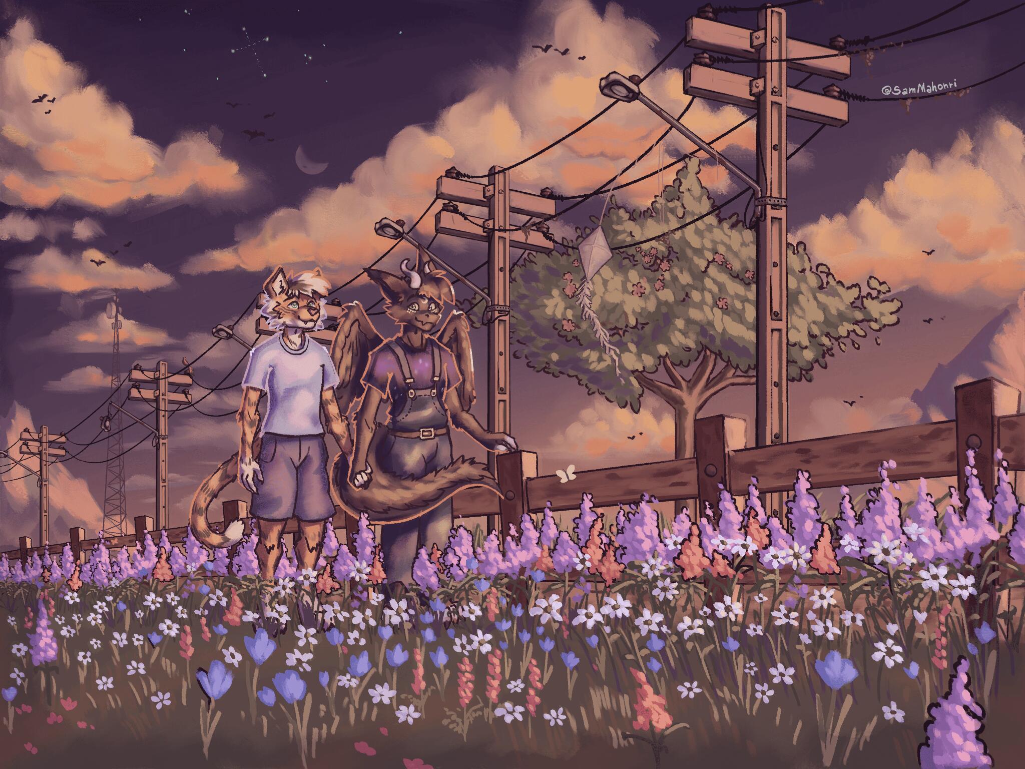 Discovery splash banner for Canto Dos Furro Discord server