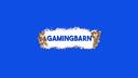 Discovery splash banner for Gamingbarn's Little Server Discord server