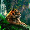 Discovery splash banner for Bengal   [.gg/bangladeshi] Discord server