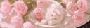 Discovery splash banner for πΈ rosey βΛΒ° | social β free tag β gwys Discord server