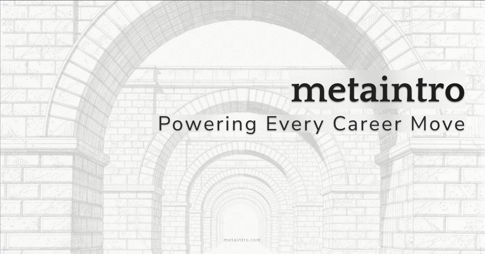 Discovery splash banner for Metaintro Discord server