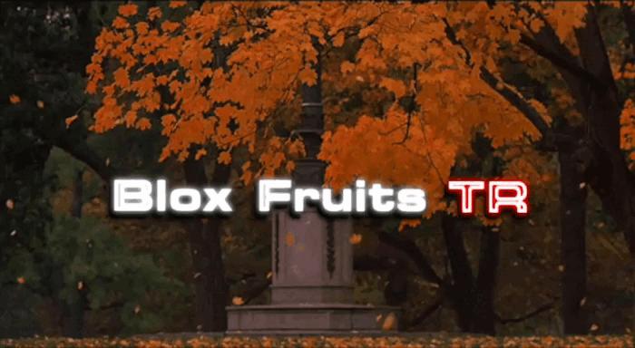 Discovery splash banner for Blox Fruits TR Discord server