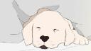 Discovery splash banner for Doggo Paradise Discord server