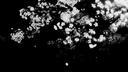 Discovery splash banner for feel your feelings | venting . social . therapy Discord server