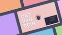 Discovery splash banner for Catppuccin Discord server