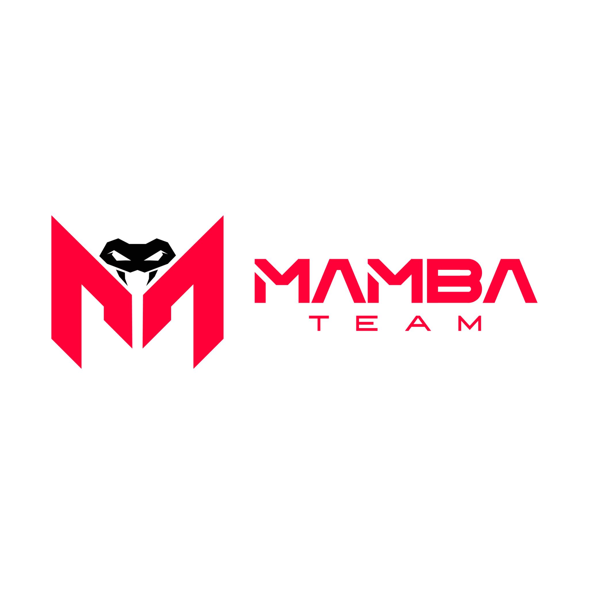 Discovery splash banner for MAMBA Community Discord server